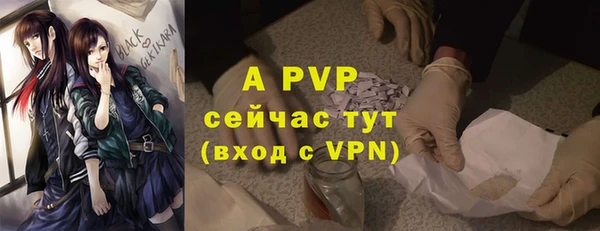 СК Елизово