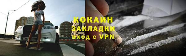 прущие крисы Пересвет
