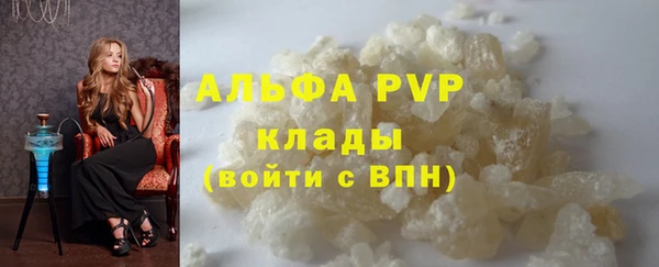 прущие крисы Пересвет