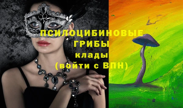 экстази Ельня
