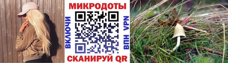 mega онион  Балахна  Псилоцибиновые грибы мицелий  как найти наркотики 