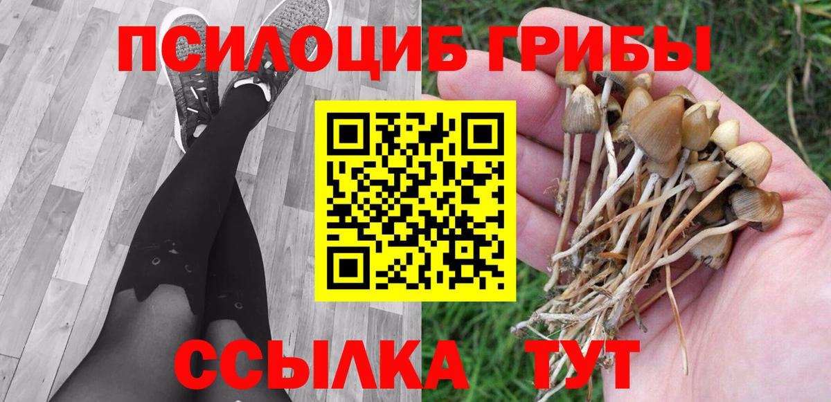 Галлюциногенные грибы мухоморы Балахна