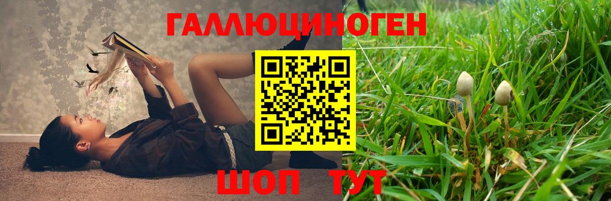 Псилоцибиновые грибы Cubensis Балахна