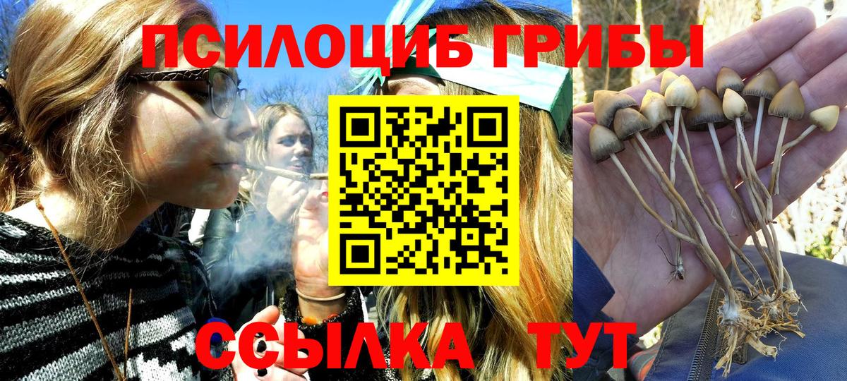 Псилоцибиновые грибы Cubensis  Галлюциногенные грибы прущие грибы  Вход с VPN  Балахна 